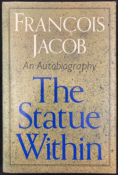 Dust jacket, The Statue Within, by François Jacob, tr. by Franklin Philip (Basic Books, 1988) (author’s copy)