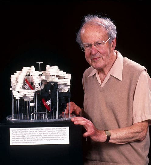 Max Perutz with his 1959 low-resolution, balsa-wood model of hemoglobin, MRC Laboratory of Molecular Biology, Cambridge (mrc-lmb.cam.ac.uk)