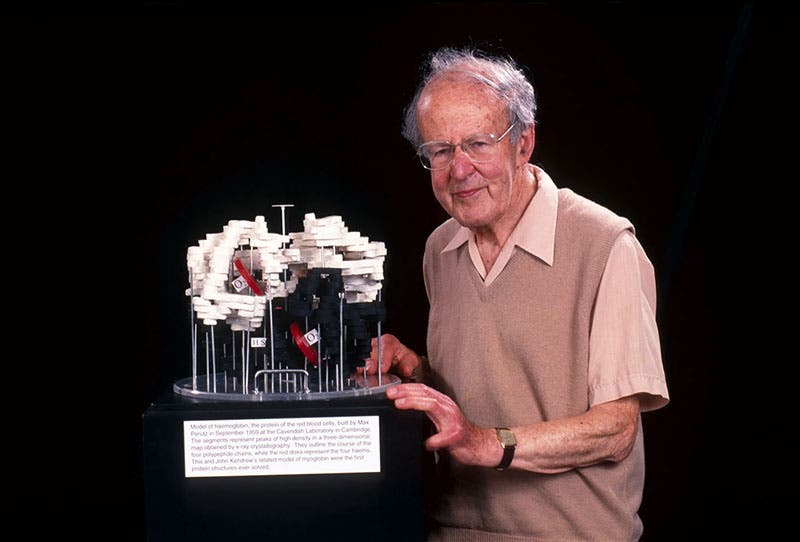Max Perutz with his 1959 low-resolution, balsa-wood model of hemoglobin, MRC Laboratory of Molecular Biology, Cambridge (mrc-lmb.cam.ac.uk)