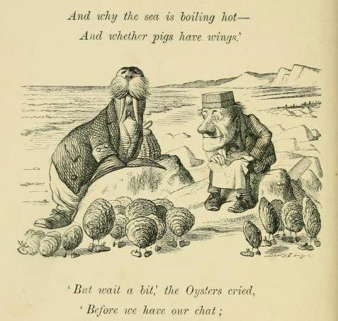 The Walrus and the Carpenter, with Oysters, wood engraving after a drawing by John Tenniel, Through the Looking Glass, by Lewis Carrol, p. 76, 1872, Gettysburg College Library (archive.org)