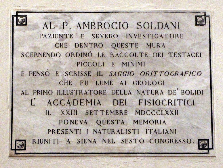 Plaque honoring Ambrogio Soldani, installed in 1872, at the Museum of the Accademia dei Fisiocritici, Sienna, of which Soldani was the secretary (Wikimedia commons)