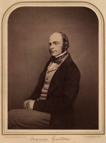 Portrait of Francis Galton, albumen print by Maull & Polyblank, late 1850s, National Portrait Gallery, London (npg.org.uk)