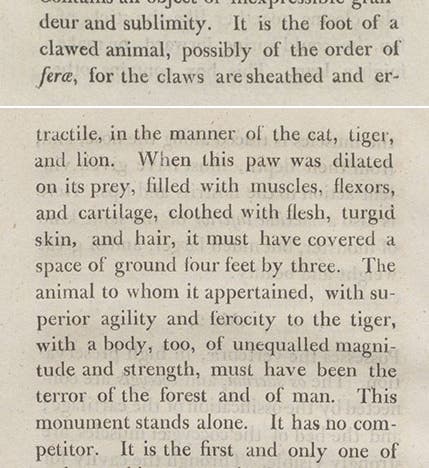 Thomas Ashe’s description of Box 4 in Bullock’s Museum, which contained the claws of a <i>Megalonyx</i>, from his <i>Memoirs of Mammoth</i>, 1806 (Linda Hall Library)