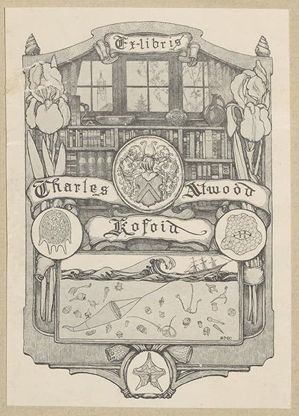 Bookplate of Charles Kofoid, from his copy of Conrad Gessner, Historia animalium, vol. 1, 1551 (Linda Hall Library)