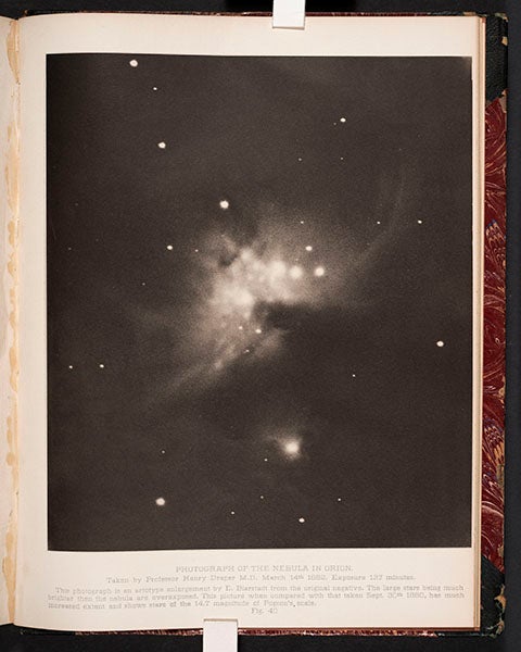 Draper’s 1882 photograph of the Great Nebula in Orion, as published by Edward Holden in Washington Astronomical Observations, 1882 (Linda Hall Library)