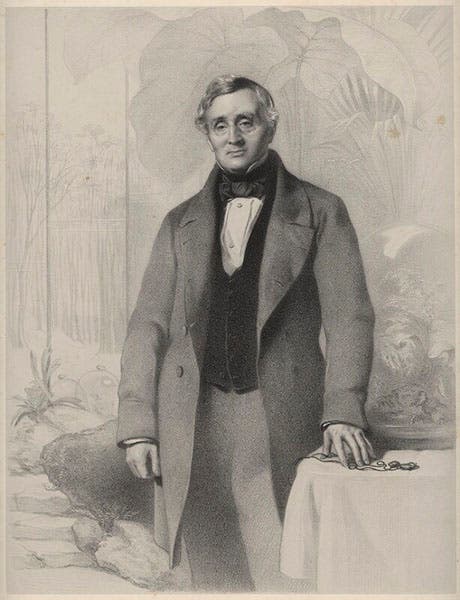 Portrait of Nathaniel Ward by Richard James Lane, lithograph, 1859 (National Portrait Gallery, London)