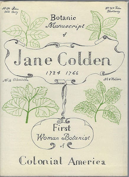 Dust jacket of the 1963 edition, Botanic Manuscript of Jane Colden, 1724-1766, copy offered on ABE Books by Mike Park Ltd, London (abebooks.com)