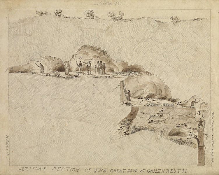 Gailenreuth cave, drawing by Thomas Webster for an article by William Buckland in the Philosophical Transactions, before 1822 (Royal Society of London)