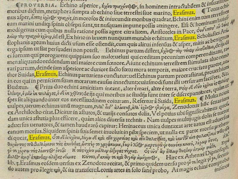 Section on “Proverbia” from the article on Echinus (hedgehog) in Conrad Gessner, Historia animalium lib. I, 1551, with the name of Erasmus highlighted (Linda Hall Library)