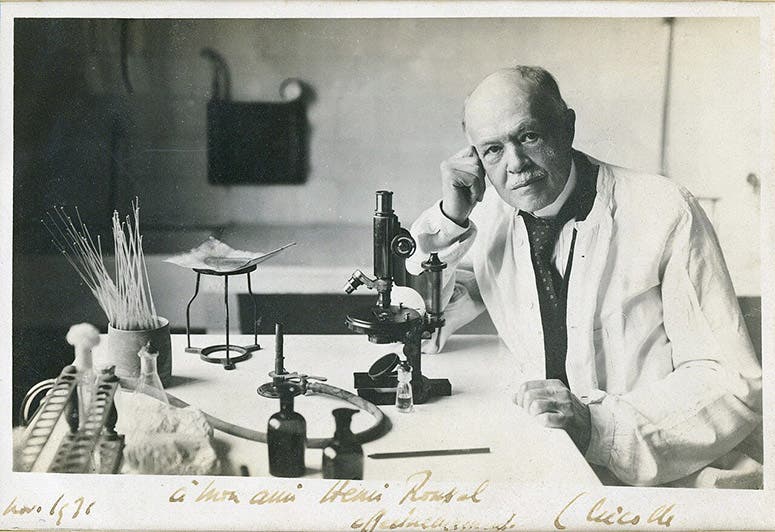 Charles Nicolle in his lab, Pasteur Institute of Tunis, photograph, undated (Wikimedia commons)