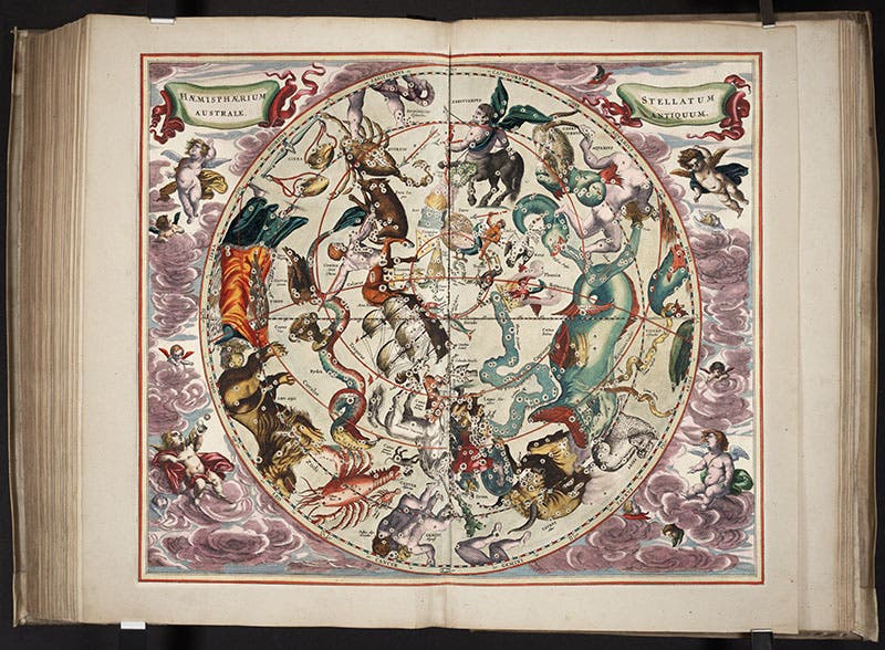 The entire plate 27, a planisphere of the southern stars, from Andreas Cellarius, Harmonia macrocosmica, 1661; the new constellations of Houtman and Keyser are at the very center – see the detail (first image) (Linda Hall Library)