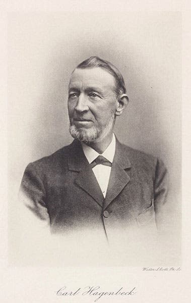 Portrait of Carl Hagenbeck, photogravure frontispiece, Beasts and Men, being Carl Hagenbeck's Experiences for Half a Century among Wild Animals, by Carl Hagenbeck, 1909 (Linda Hall Library)