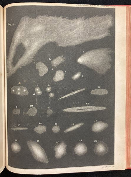 The variety of nebulous celestial objects, first mezzotint accompanying "Astronomical Observations relating to the Construction of the Heavens," by William Herschel, Philosophical Transactions of the Royal Society of London, vol. 101, 1811, plate 4, p. 336, 1811 (Linda Hall Library)