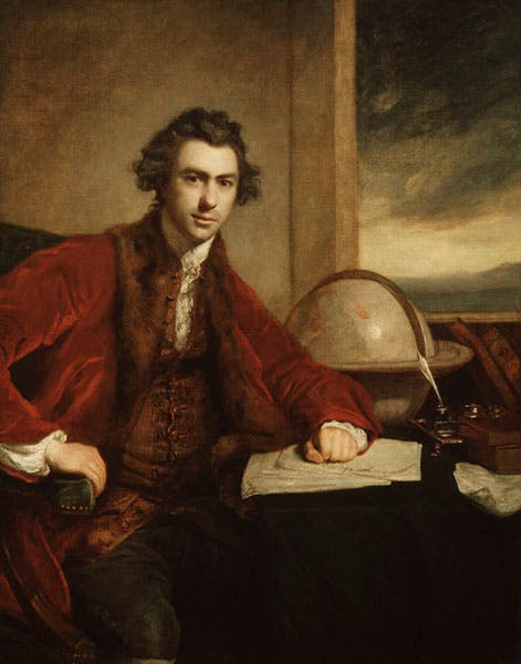 Portrait of Joseph Banks, oil on canvas, by Joshua Reynolds, 1771-73, National Portrait Gallery, London (npg.org.uk)