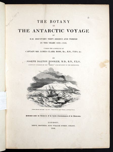 Title page with engraved title-page vignette (see third image for a detail), Botany of the Antarctic Voyage of H.M. Discovery Ships Erebus and Terror, by Joseph Dalton Hooker, 1844 (Linda Hall Library)