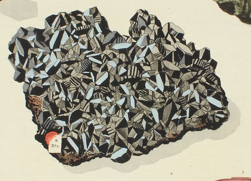 Detail of a plate showing a variety of mineral specimens, this one a metallic crystal, carefully hand-colored, Georg Wolfgang Knorr, Deliciae naturae selectae, 1766-67 (Linda Hall Library)