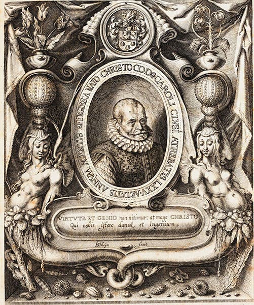 Portrait of Carolus Clusius, engraved frontispiece by Jacques de Gheyn II, in Carolus Clusius, Rariorum plantarum historia, 1601 (Linda Hall Library)