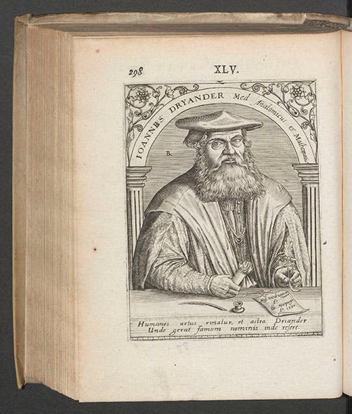 Portrait of Johann Dryander, engraving by Theodor de Bry, in Jean-Jacques Boissard, Icones quinquaginta virorum illustrium, vol. 3, 1597-99 (Linda Hall Library)