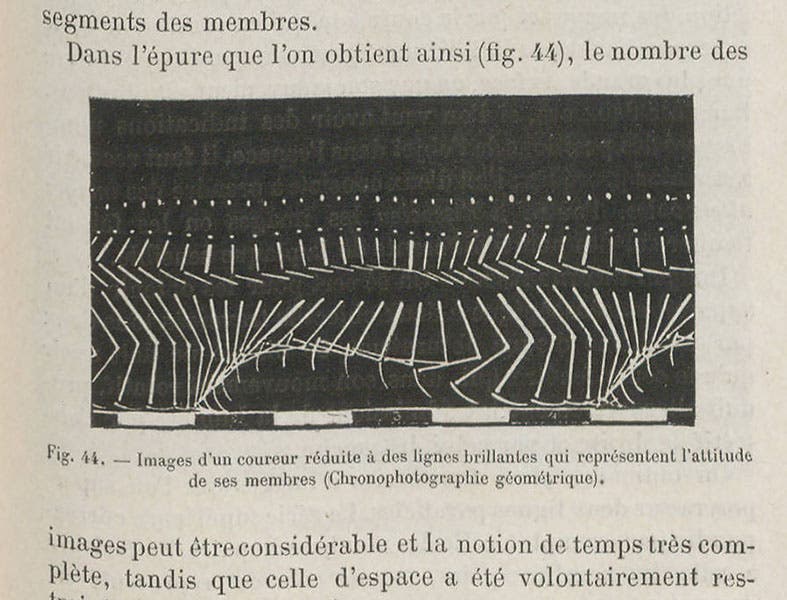 Stick figure running, geometric chronophotograph, Étienne-Jules Marey, Le movement, 1894 (Linda Hall Library)