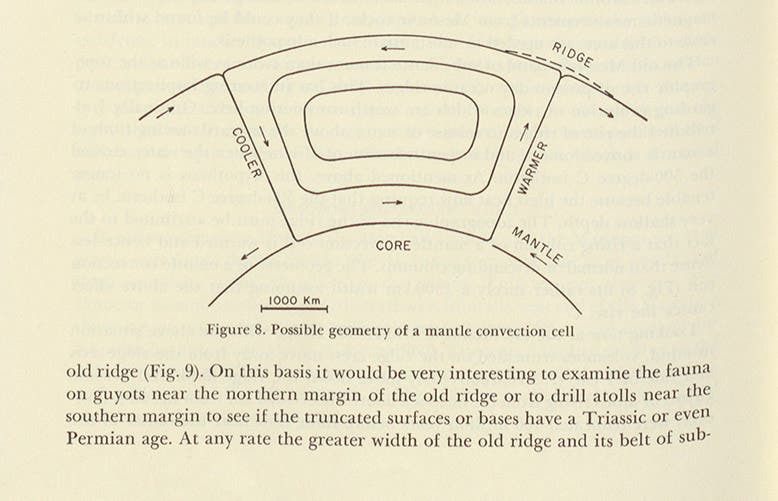 Diagram of possible convection currents in the mantle that causes magma to upwell at mid-oceanic ridges, Harry Hess, “History of Ocean Basins,” in Petrologic Studies, ed. by A.E.J. Engel et al, 1962 (Linda Hall Library)