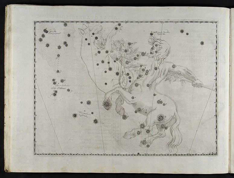 The constellation Centaurus in Johann Bayer, Uranometria, 1603 (Linda Hall Library)