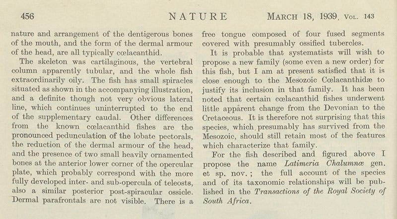 Second and last page of “A living fish of Mesozoic type,” by J.L.B. Smith, where the coelacanth is named Latimeria chalumnae, Nature, vol. 143, 1939 (Linda Hall Library)