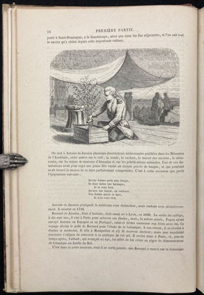 Antoine Jussieu watering plants onboard ship, wood engaving, Le muséum d'histoire naturelle, by Paul-Antoine Cap, part 1, p. 14 entire, 1854 (Linda Hall Library)