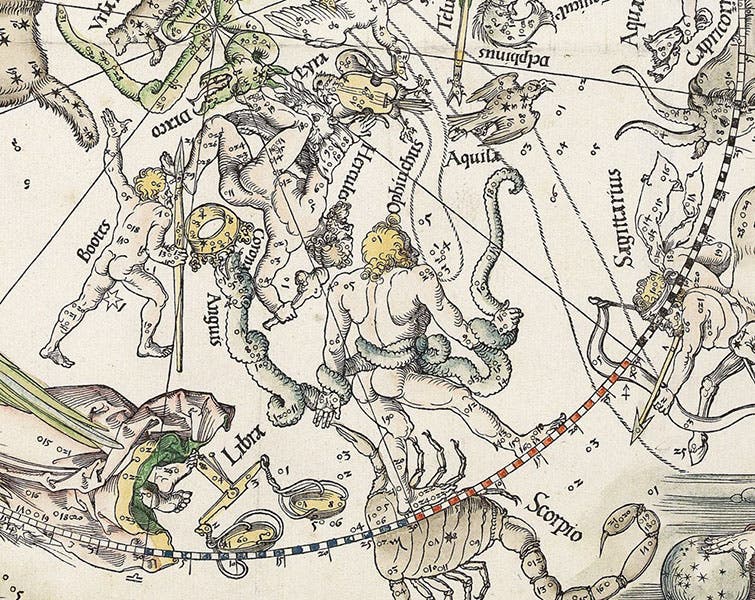 The constellations Boötes, Hercules, and Ophiuchus (with snake), detail from Imagines Coeli Septentrionales (northern celestial hemisphere), woodcut by Albrecht Dürer et al., 1515, offered and sold by Daniel Crouch Rare Books (crouchrarebooks.com)