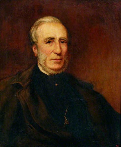 Portrait of an older George Busk, oil on canvas, by his daughter, Ellen Martha Busk, undated, in the Hunterian Museum, Royal College of Surgeons, London (artuk.org)