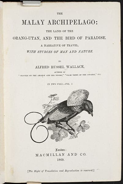 Title page, The Malay Archipelago, by Alfred Russel Wallace, vol. 1, 1869 (Linda Hall Library)