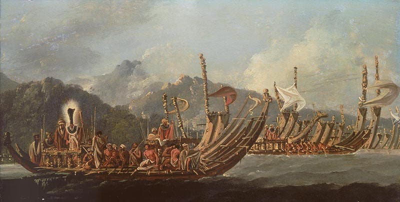 The Fleet of Otaheite assembled at Oparee, oil on canvas, by William Hodges, 1776, Royal Museums Greenwich (rmg.co.uk)
