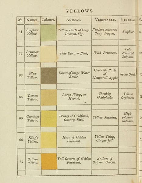 First page of “Yellows,” including “gamboge yellow” (fifth color down), which Parker Cleaveland used to color the alluvial rocks on his geological map, Werner's Nomenclature of Colours, by Patrick Syme, 1814 (Linda Hall Library)