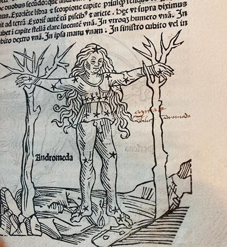 The constellation Andromeda, woodcut in John Argentein’s copy of Hyginus, Poeticon astronomicon, published by Erhard Ratdolt, 1482, now in Gloucester Cathedral Library (photo by Kathy Baldree)