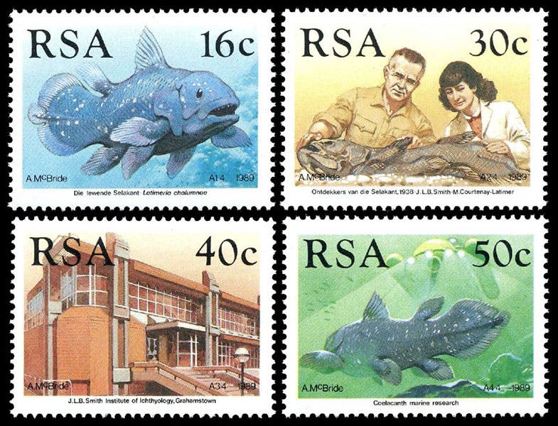 Republic of South Africa (RSA) postage stamps commemorating Marjorie Courtenay-Latimer, J.L.B. Smith, and the discovery of the coelacanth, 1989 (paleophilatelie.eu)