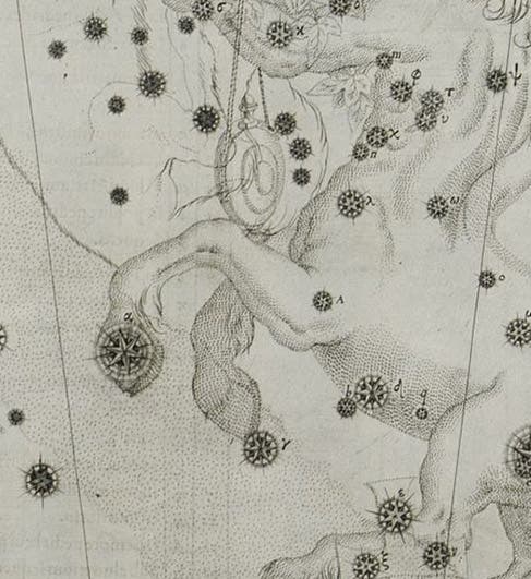 Alpha Centauri, on the left forefoot of the Centarur, in Johann Bayer, <i>Uranometria</i>, 1603. For the compete plate, see third image (Linda Hall Library)