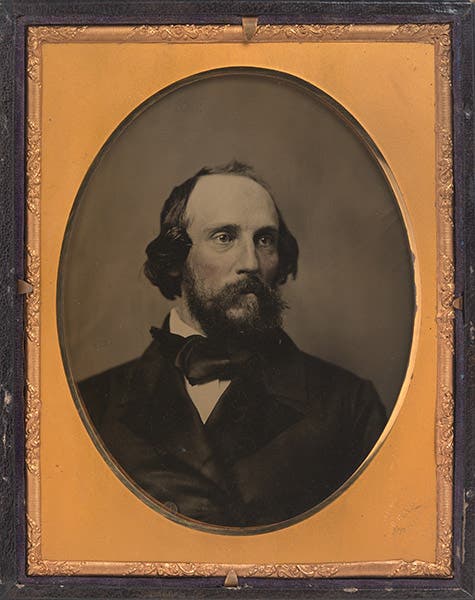 Portrait of Frederick Lander, photograph by Matthew Brady, 1857, National Portrait Gallery, Smithsonian Institution (npg.si.edu)