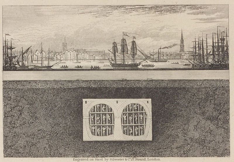 Longitudinal section of the River Thames, showing the tunnel under construction, engraving in An Explanation of the Works of the Tunnel under the Thames from Rotherhithe to Wapping, by the Thames Tunnel Company, 1836 (Linda Hall Library)