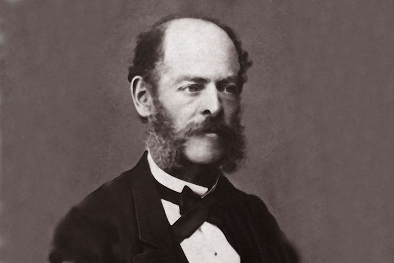 Portrait of Marcelino Sanz de Sautuola, Real Academia de la Historia (dbe.rah.es)