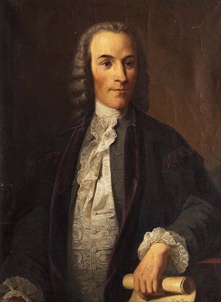 Portrait of Tobias Mayer, oil on canvas, unknown 18th-century German artist, unknown date, sold at auction, 2019 (mutualart.com)