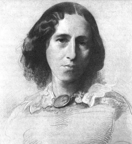Portrait of Mary Ann Evans (George Eliot), pencil drawing by Samuel Lawrence (Wikimedia commons)