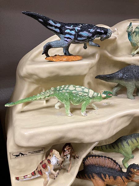 A Carnegie Museum replica of Ankylosaurus, the green armored dinosaur in the center, the original of which was discovered by Peter Kaisen in 1906; author’s collection (photo by the author)