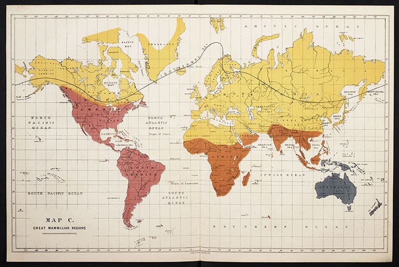 Map of the four Great Mammalian Regions of the world, Murray, Geographical Distribution of Mammals, 1866 (Linda Hall Library)