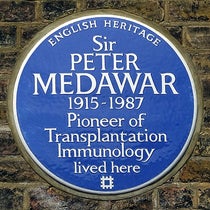 Blue Plaque honoring Peter Medawar, 25 Downshire Hill, Hampstead, London Borough of Camden (Wikimedia commons)