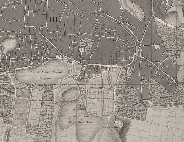Detail of a map of Cairo, showing the Institute houses and gardens. Image source: Description.