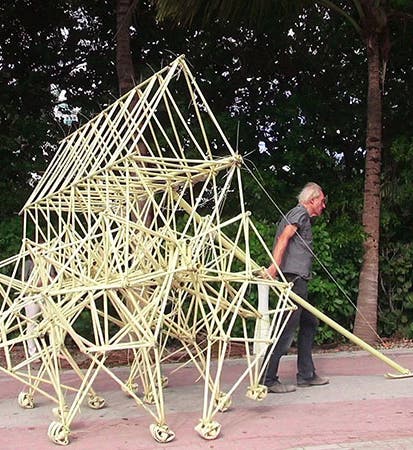 Theo Jansen and a small strandbeest, photograph, 2014 (nytimes.com)