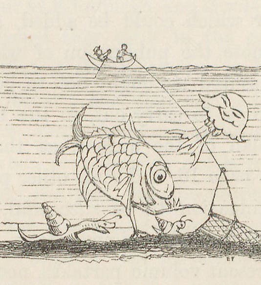 A deep-sea dredge in action, tailpiece by Edward Forbes, detail of fifth image (Linda Hall Library)
