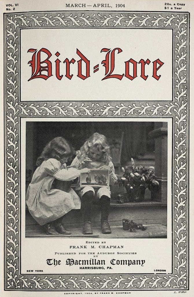Bird-Lore, vol. 6, no. 2, 1904. View Source.