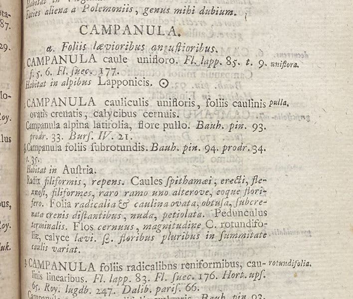 Detail of fourth image, with the species names of the Campanula genus indicated in italics at the right, Species plantarum, by Carl Linnaeus, vol. 1, p. 153, 1753, (Linda Hall Library)
