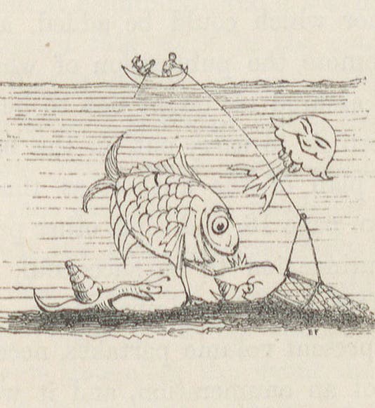 Dredge cartoon, by Edward Forbes, wood-engraved tailpiece tailpiece to preface of his The Natural History of the European Seas, 1859(Linda Hall Library)
