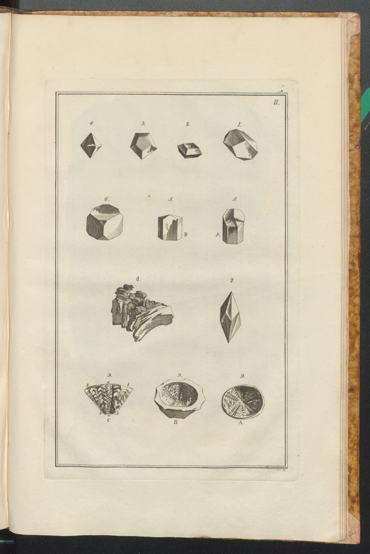 Carl Gustaf Tessin and Carl Linnaeus, Museum Tessinianum. Stockholm: Laurentium Salvium, 1753.